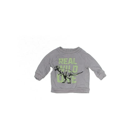 

Pre-Owned Peek Boy s Size 3-6 Mo Sweatshirt