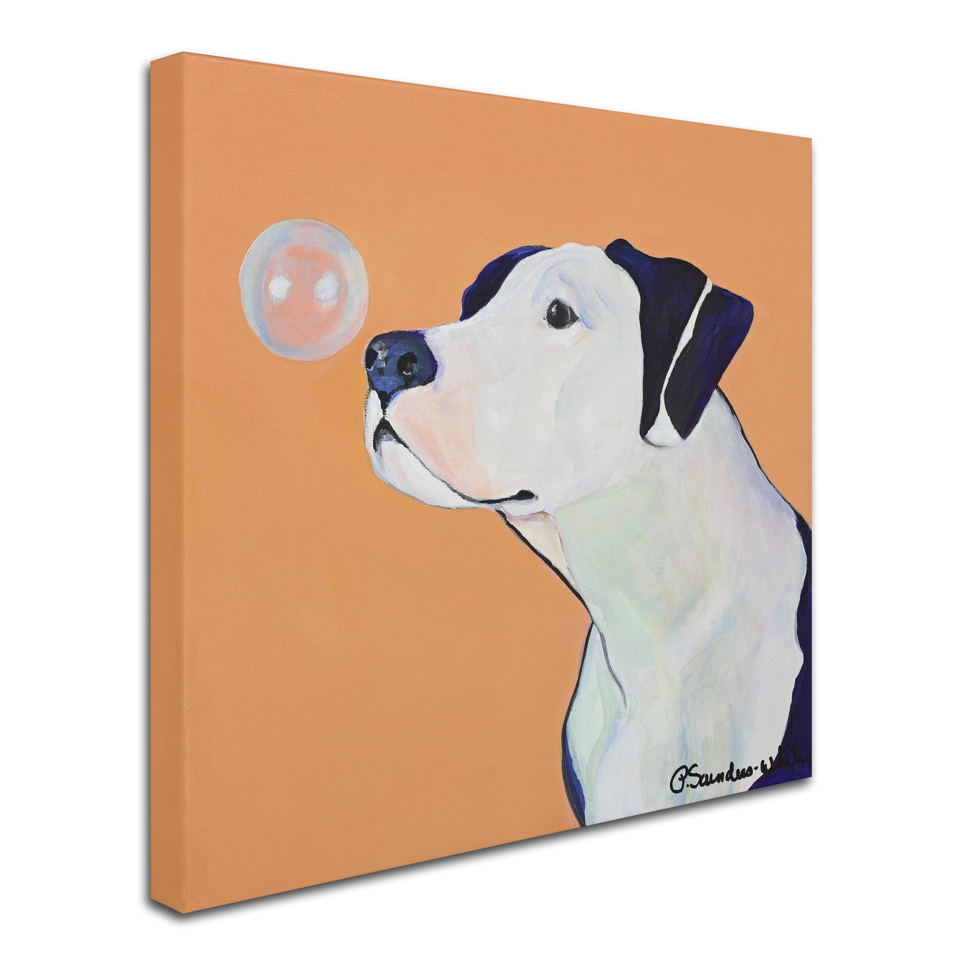 Trademark Fine Art "Fascination" Canvas Art by Pat Saunders-White