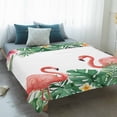 thumbnail image 4 of Pink Flamingo Birds Blanket Soft Cozy Warm Throw Blanket for Couch, Plush Fuzzy Flannel Fleece Blankets for Sofa, Summer Tropical Plants Flowers Bed Blankets Lightweight Gifts for Women, 50"x60", 4 of 9