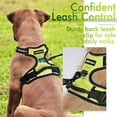 thumbnail image 4 of rabbitgoo Dog Harness  No-Pull Pet Harness with 2 Leash Clips  Adjustable Soft Padded Dog Vest  Reflective No-Choke Pet Oxford Vest with Easy Control Handle for Large Dogs Orange L, 4 of 9