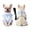 Light Blue, variant on Dog Tuxedo with Chest Strap and Leash, Pet Suit Set for Small Medium Dog Formal Occasion Dress Up Festival Party Photo Prop Dark Blue S