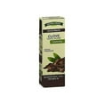 thumbnail image 2 of Nature's Truth Clove 100% Pure Comforting Essential Oil, 0.51oz, 2-Pack, 2 of 5