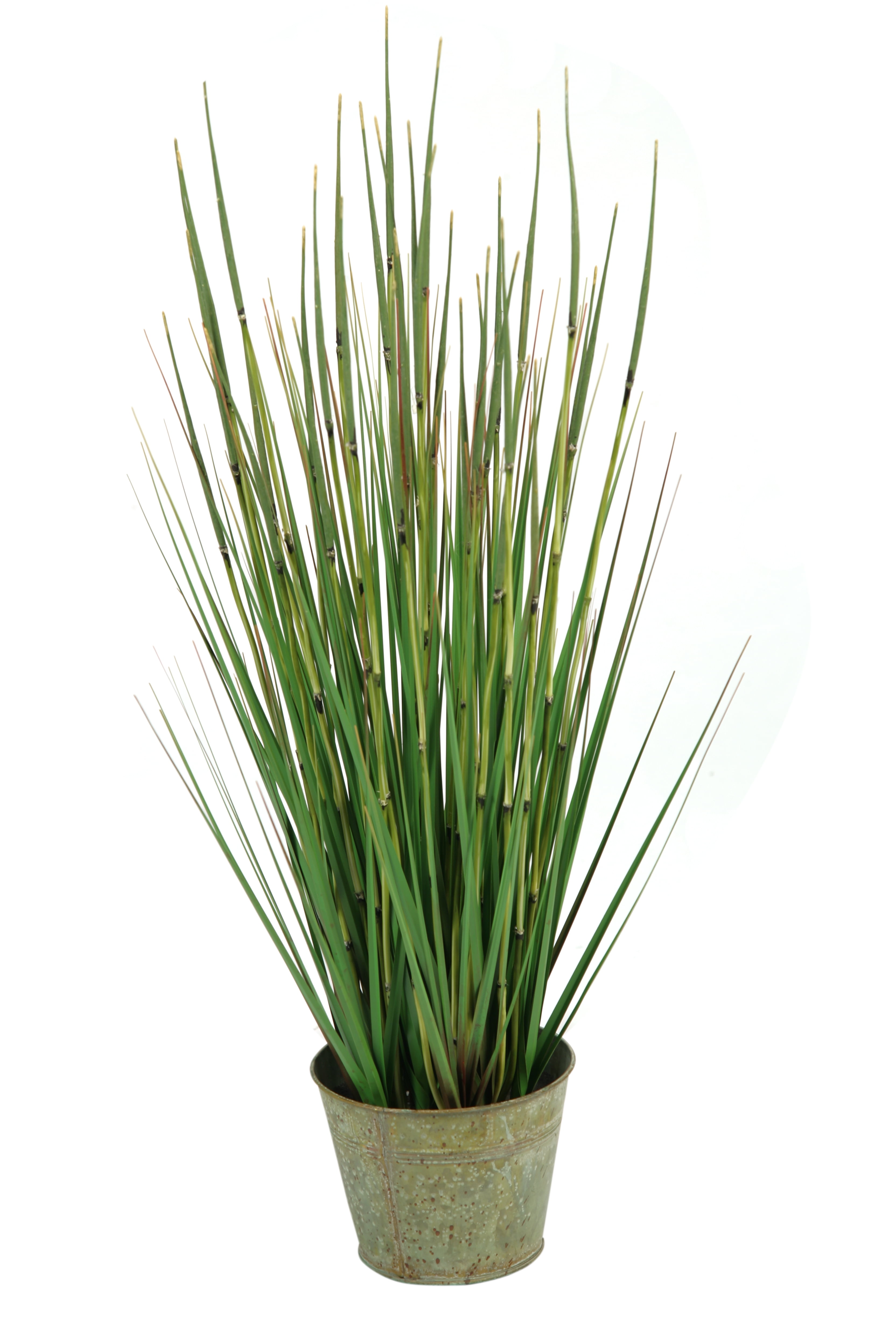 D&W Silks 31" Onion Grass in Round Metal Planter