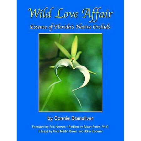 Wild Love Affair Essence Of Florida S Native Orchids