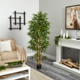thumbnail image 5 of Arbre en Soie de 75 Po de Bambou, 5 of 5