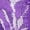 Purple, variant on Panties for Womens Underwear Hollow Embroidery Waist Side Split Sexy Thong Briefs Pink One Size