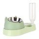 thumbnail image 2 of Cuencos para platos con soporte elevado Principio de sifón 4 en 1 Acero inoxidable desmontable Prevenir malestar Alimentador de alimentos para mascotas para gatos Perros Verde, 2 of 5