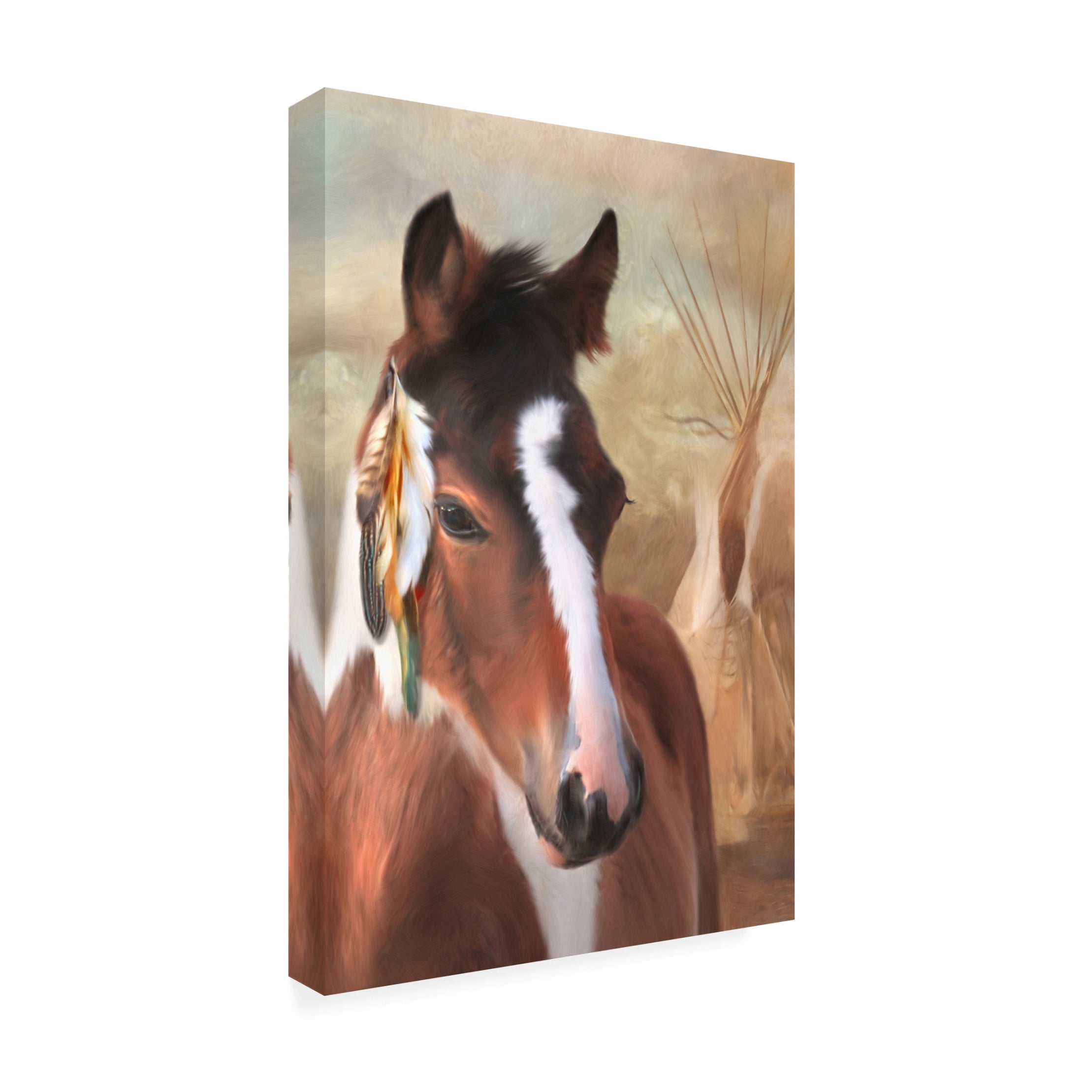 Canvas Wall Art - Trudi Simmonds 'Small Chief Little Feathers' Wall Art for Living Room, Bedroom, or Office Décor by Trademark Fine Art - 16 x 24 Inches