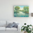 thumbnail image 3 of Trademark Fine Art 'Winding River II' Canvas Art by Tim O'Toole, 3 of 3