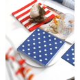 thumbnail image 4 of Platos y servilletas del 4 de julio de Winoo Design para fiestas, 4 of 5