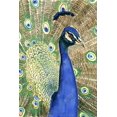 thumbnail image 3 of Peacock - Toile 24"x36 Pouces - Impression à la Demande, 3 of 5