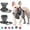 gray, variant on BLRTUN Pet Dog Harness for Small Medium Dogs No Pull Puppy Cats Vest Harness Adjustable Reflective Breathable Mesh Lightweight Harnesses Leash Set Escape Proof for Walking Training