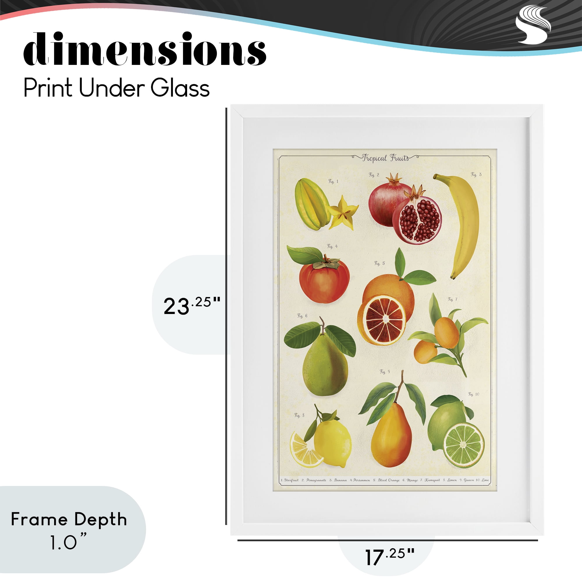 Stupell Industries Vintage Tropical Fruit Studies White Framed Print Under Glass, design by Diane Neukirch
