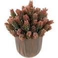 thumbnail image 3 of Northlight Two-Tone Wild Flower Artificial Plant in a Textured Lined Pot - 8", 3 of 5