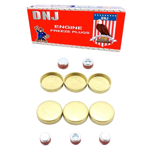 DNJ FPS3131 Freeze Plug Set Fits Cars & Trucks 88-03 Buick Chevrolet Oldsmobile Pontiac 3.1L OHV