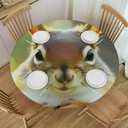 

Squirrel Funny Animal Print Round Table Cover Fitted Tablecloth (Table Cover) for Home Kitchen Dining Room and Patio