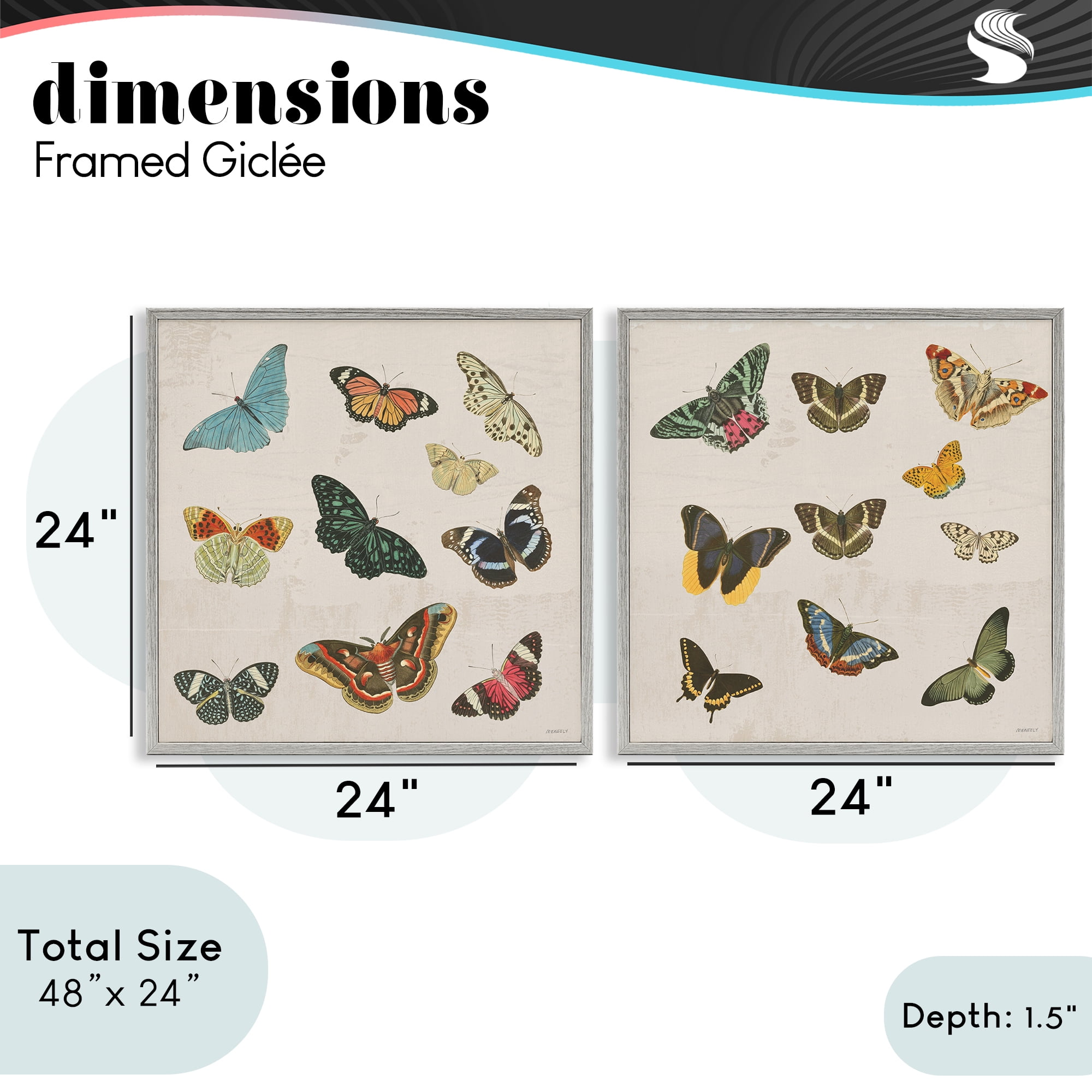 Stupell Industries Collection of Vintage Butterflies 2 Piece Gray Framed Giclee Art Set, design by Dan Meneely