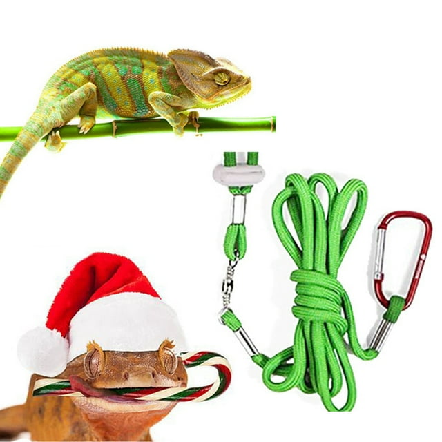 Lizard Harness Leash Set Soft Bearded Dragon Leash Lizard Walking Leash for Xmas