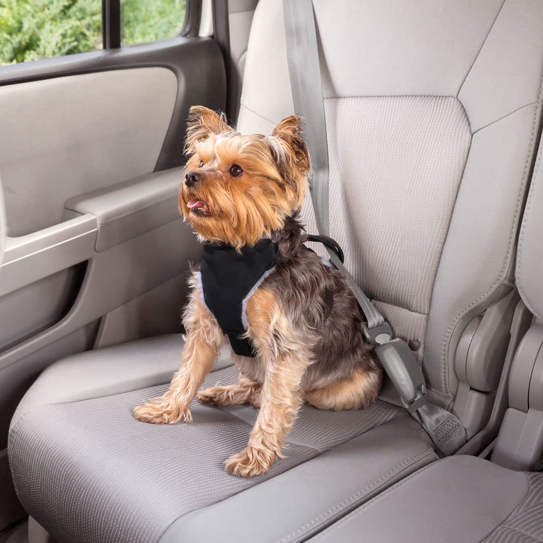 Top Munster 2 Pcs Car Vehicle Adjustable Pet Dog Cat Safety Leash Leads Seat Belts Nylon Harness Seatbelt Set Red