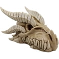 thumbnail image 4 of Ebros Dragon Head Skull Realistic Fossil Wall Sculpture Or Desktop Statue 8.25"L, 4 of 9