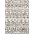 thumbnail image 2 of Bahar Charcoal 2' x 2'11" Traditional Rectangle Area Rug, 2 of 6