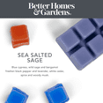 thumbnail image 4 of Sea Salted Sage Scented Wax Melts, Better Homes & Gardens, 2.5 oz (5-Pack), 4 of 10