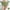 Green, variant on Nrmvnmi Women's Menstrual Period Briefs Girl High Waisted Comfy Ultra Soft Postpartum Cotton Panties Underwear Beige-L