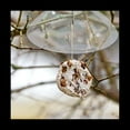 thumbnail image 6 of 2 Pack Bird Feeders Protective Cover,Dome Dome,Rain Cover for Hanging Garden, 6 of 7