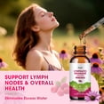 thumbnail image 2 of Lymphatic Drainage Liquid Drops, 11-In-1 with Echinacea, Elderberry, Red Clover for Lymph System & Immune Support, 2 fl oz, 2 of 7