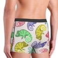 thumbnail image 5 of Kll Colorful Pattern With Cute Chameleons Men'S Cotton Boxer Briefs Underwear-X-Large, 5 of 9