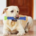 thumbnail image 4 of Cepillo de dientes para perros TANGJMXG silicona azul y verde, 4 of 5