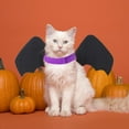 thumbnail image 5 of Pet Clothes Cats Puppy Dogs Black Bat Wing Halloween Party Attire for Pet Decoration, 5 of 7