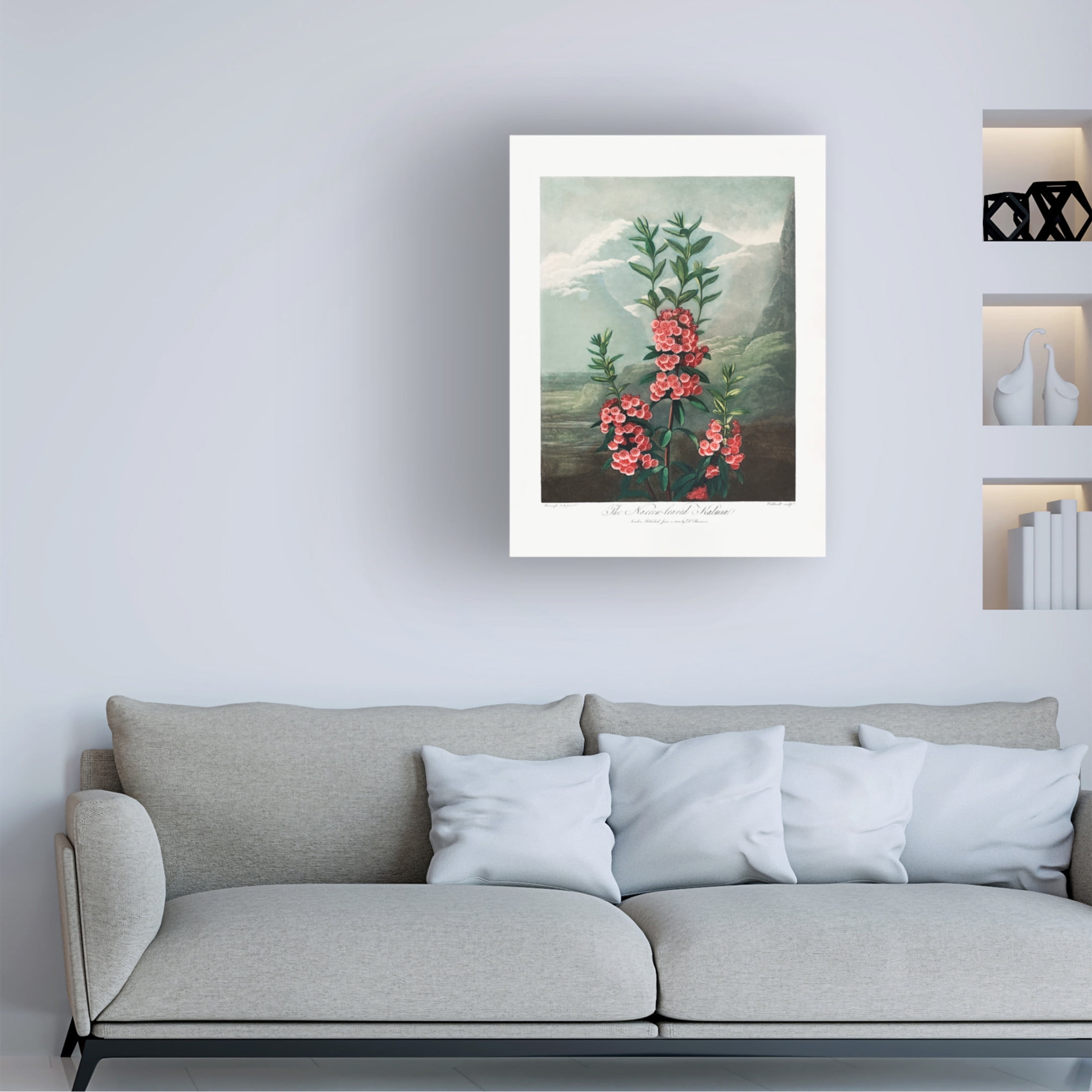 Trademark Fine Art Pictufy The NarrowaLeaved Kalmia from The Temple of Flora 1807 Canvas Wall Art