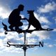 thumbnail image 1 of Eule stainless steel Spray painted weather vane, wind direction indicator, metal bracket for outdoor use Ref: 2874, 1 of 5