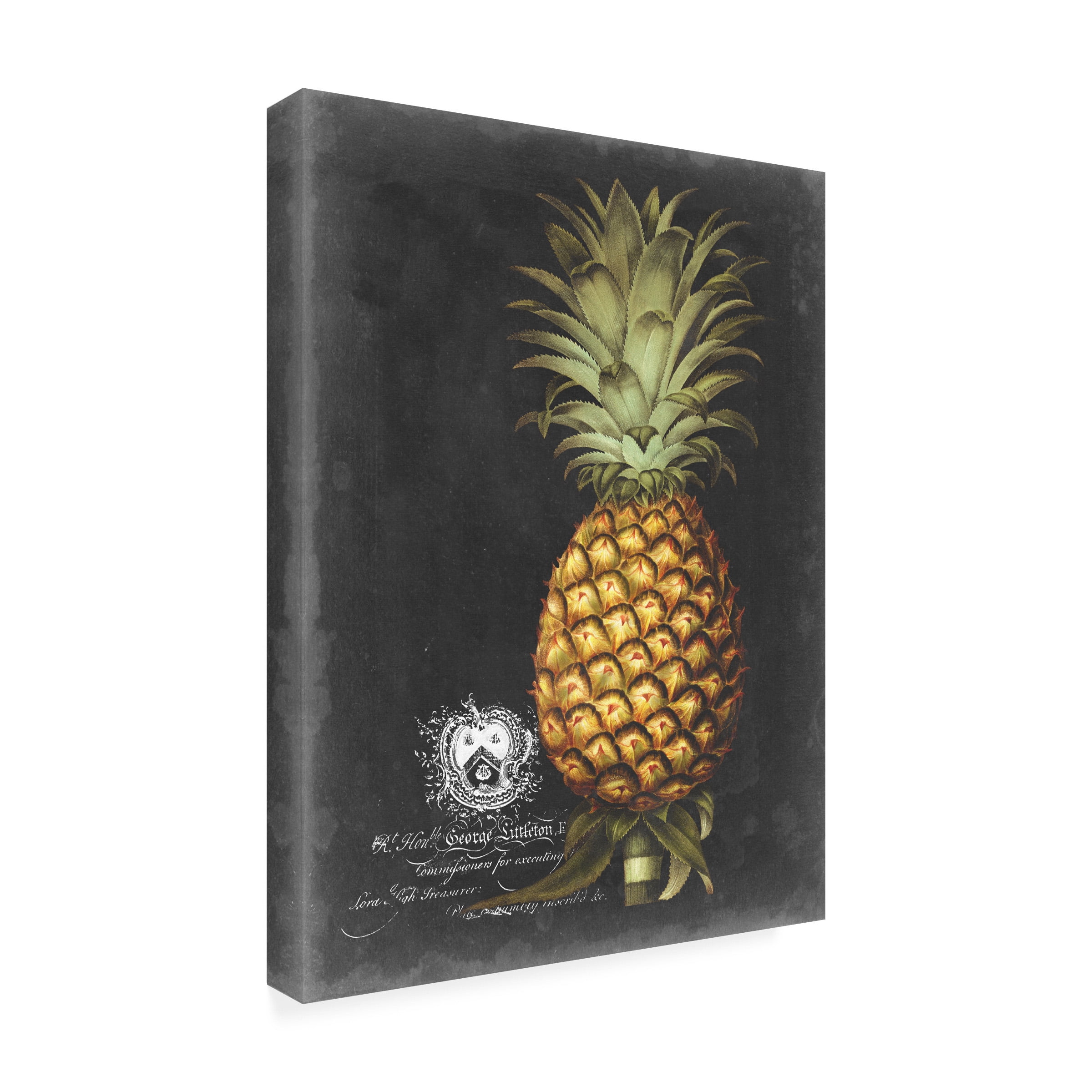 George Brookshaw 'Royal Brookshaw Pineapple I' Canvas Art