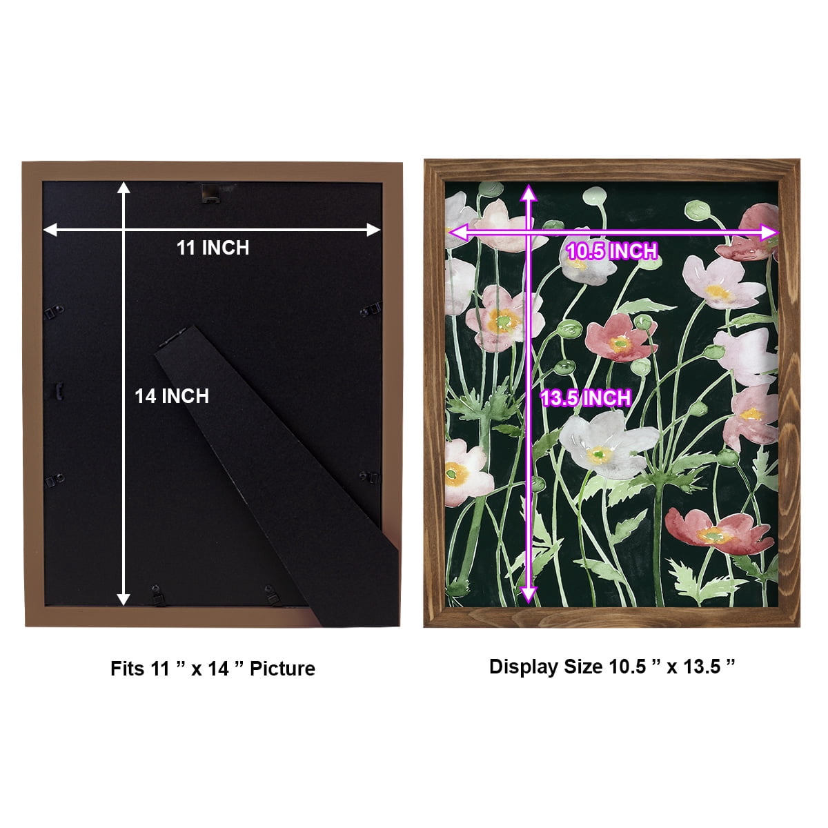 Anemone Dance I -Framed Print w/glass-Walnut