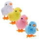 thumbnail image 3 of 4 pollitos de peluche de Pascua, juguetes de cuerda para saltar, suministros de Pascua, juguetes de relojería., 3 of 8