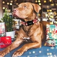 thumbnail image 4 of Collar para perro DOGWONG Christmas rojo ajustable, grande, 2,5 cm, 4 of 5
