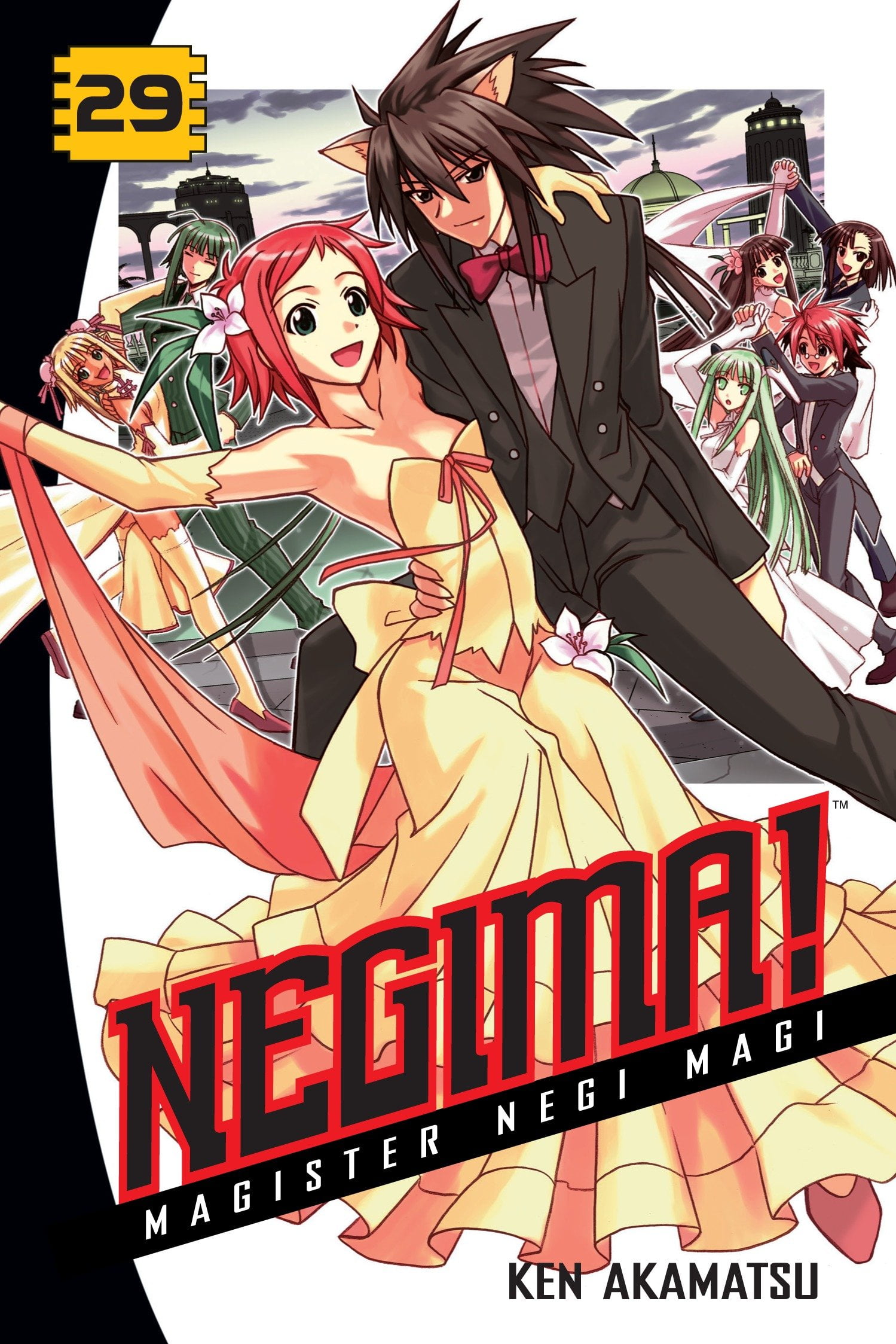 Negima Magister Negi Magi Manga Negima! 29 : Magister Negi Magi - Walmart.com