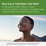 EZ Melts Dissolvable KSM-66 Ashwagandha, 300 mg, Sugar-Free, Stress, Sleep and Mood Support Supplement, 30-Day Supply, Peppermint Chill-Flavor - 1 Pack