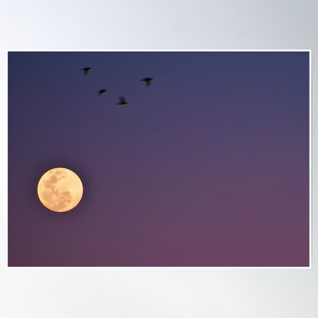 Full Moon 23Rd October 2010 At Sunset 2 Poster Wall Art, Modern Wall Decor, 8x12 UNFRAMED