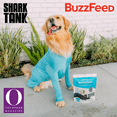 thumbnail image 6 of Shed Defender Original Dog Onesie for Dog Shedding, Seen on Shark Tank, Lightweight Breathable, Bodysuit for Dogs, Recovery Suit, Jumpsuit, Dog Body Suit, Shed Shirt, Post Surgery Onesie, Vet Approved, 6 of 22