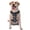 With Accessories, variant on Vsdgher Sailboat And Wave Pattern Dog Harness,No Pull Pet Harness with Soft Padded Handle,Adjustable Reflective Vest with 2 Buckles,4 Slide Buckles,S-XL Large