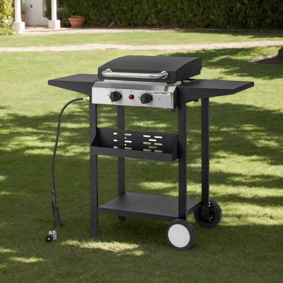 Zintown 2 Burner 200000-BTU Outdoor Stove Propane Gas Griddle with Portable Pan,Lid