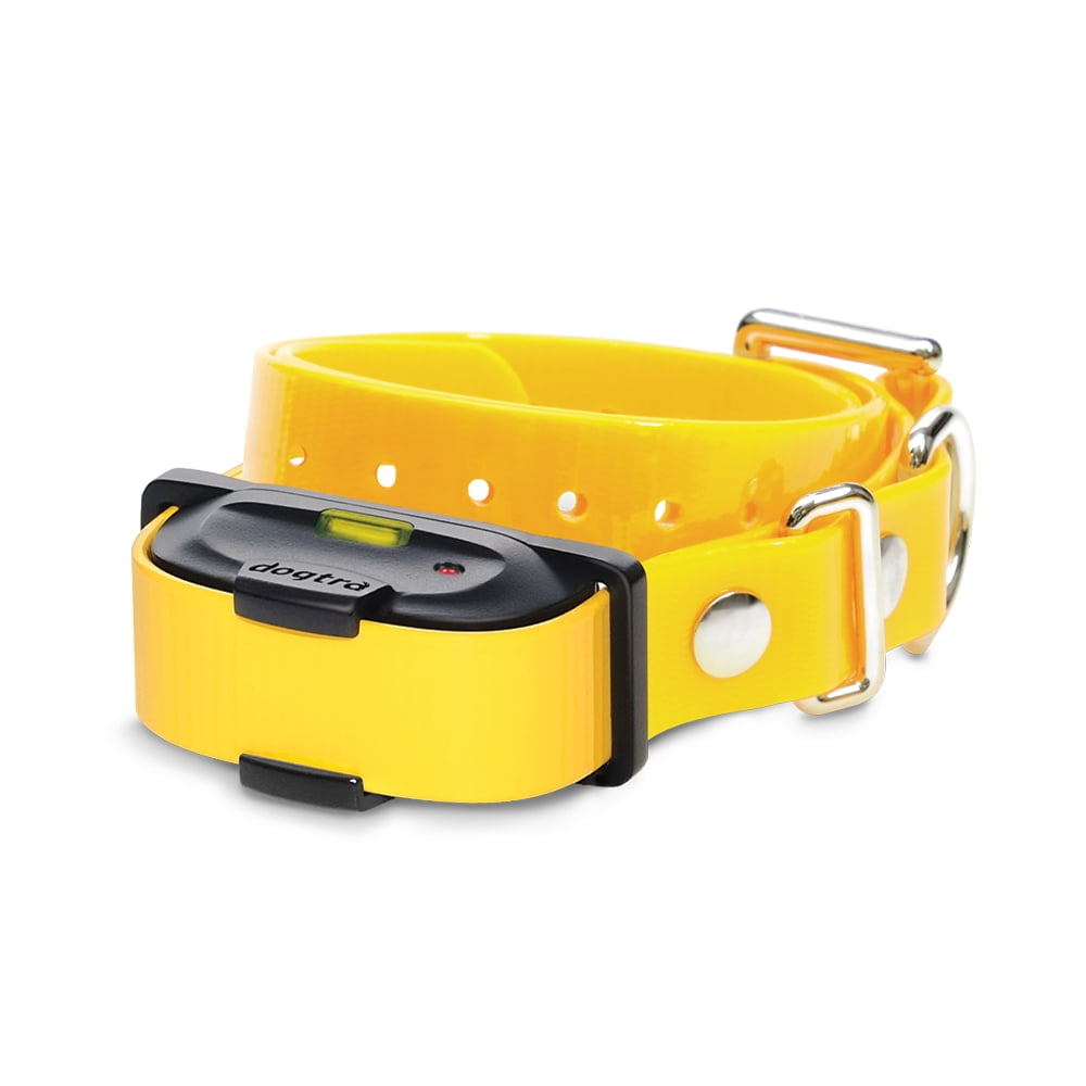 Dogtra iQ MINI Remote Dog Training Collar Additional Receiver Rechargeable Waterproof