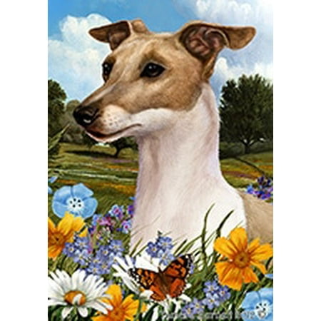 Italian Greyhound Fawn and White - Best of Breed  Summer Flowers Garden