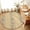 Beige, variant on Small Round Rug 3Ft, Khaki Flower Branch Non-Slip Washable Circle Rugs Carpet, Spring Summer Farmhouse Botanical Indoor Outdoor Rug Floor Mats Throw Runner for Bedroom Living Room Bathroom
