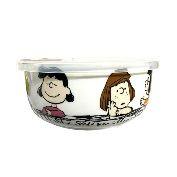 Peanuts Gang Covered Small Bowl