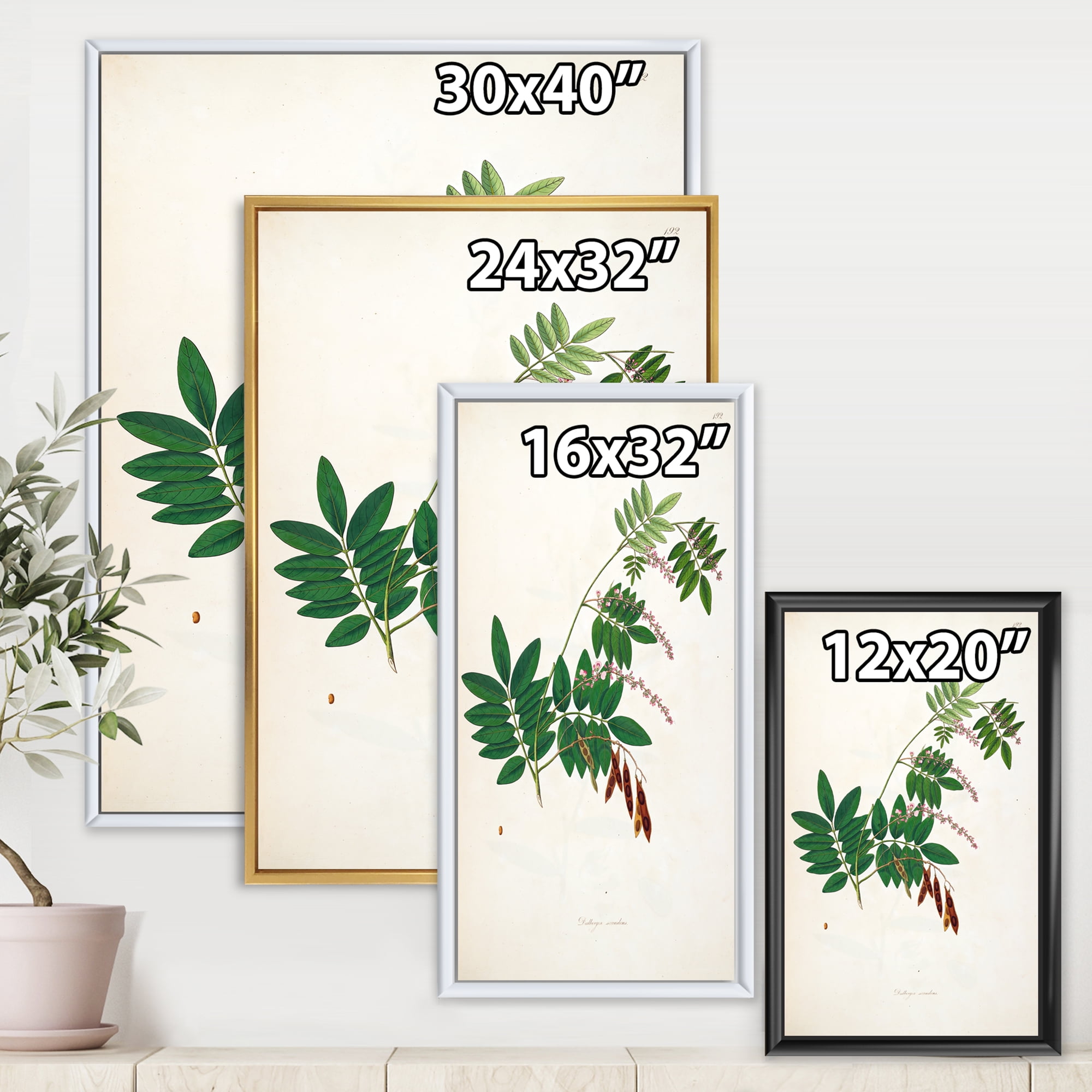 Ancient Botanicals XI 12 in x 20 in Framed Painting Canvas Art Print, by Designart