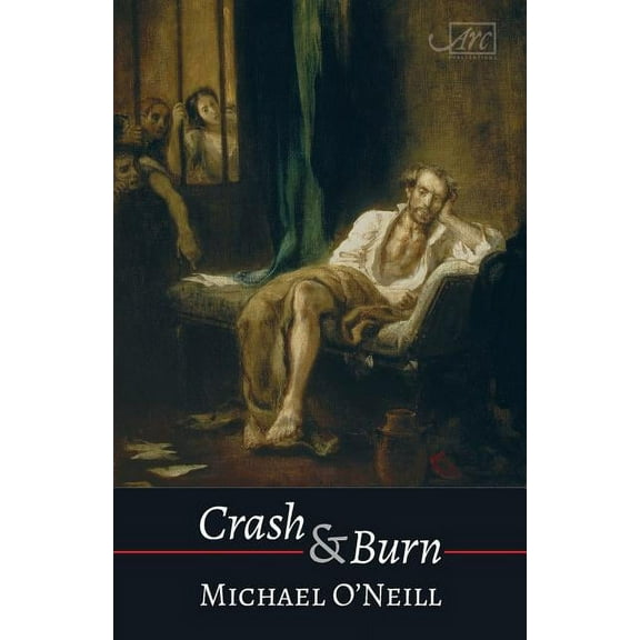 Crash & Burn (Paperback)